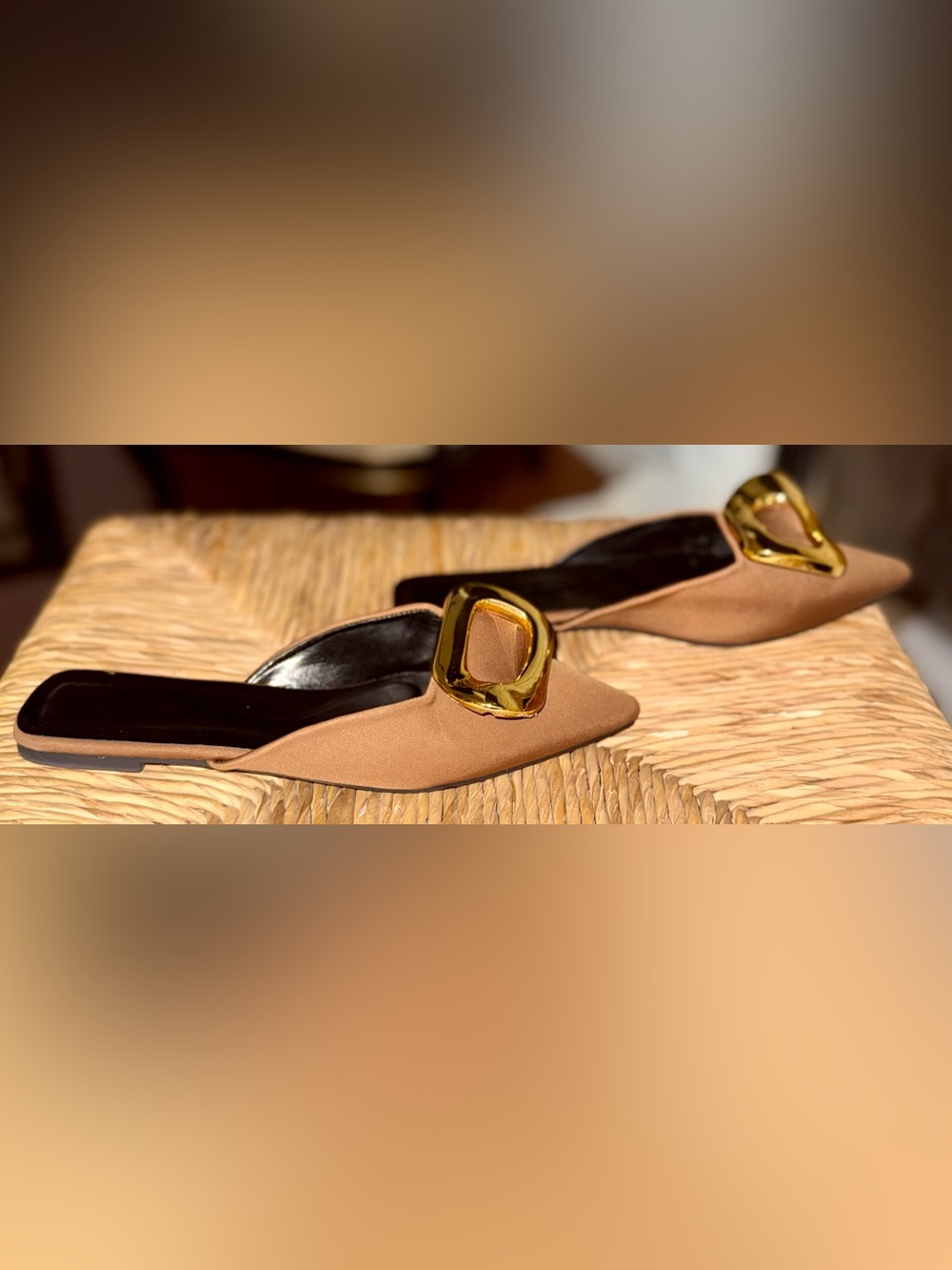 Women’s Pointed Toe Slide Mules with Gold Accent - Tan - Picture 3 of 6